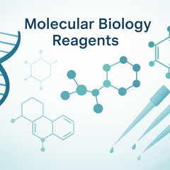 Collection image for: Reagents