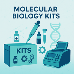 Collection image for: DNA, RNA, and PCR Purification Kits (Coming Soon!)